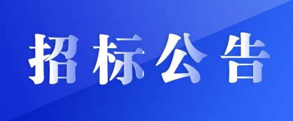 江西長運(yùn)集團(tuán)戰(zhàn)略規(guī)劃咨詢服務(wù)采購項目競爭性磋商公告