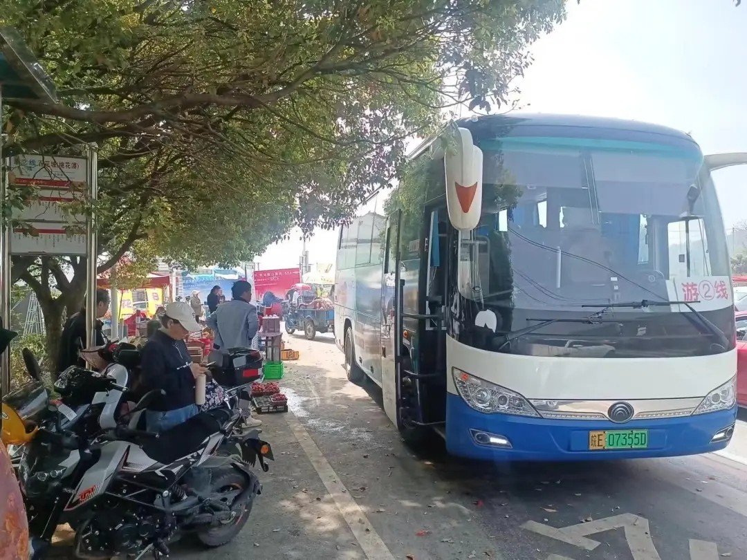 馬鞍山長(zhǎng)客:開(kāi)通2024年大青山“桃花節(jié)”旅游專(zhuān)線(xiàn)