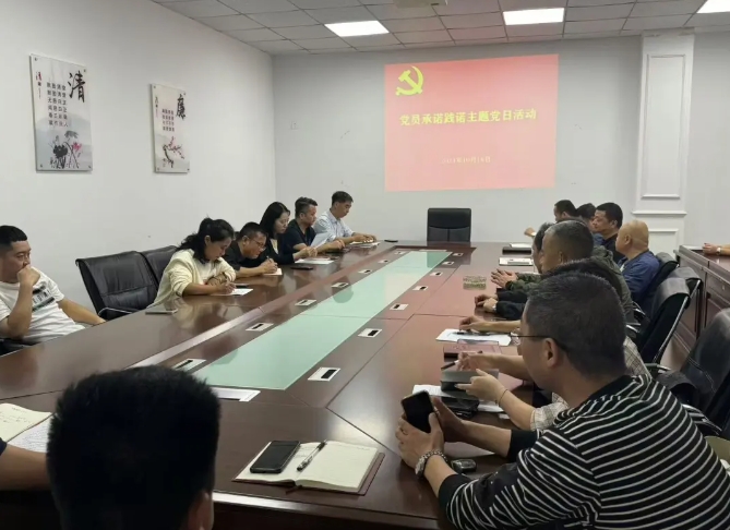 景德鎮(zhèn)長運：開展黨員亮身份、承諾踐諾主題黨日活動